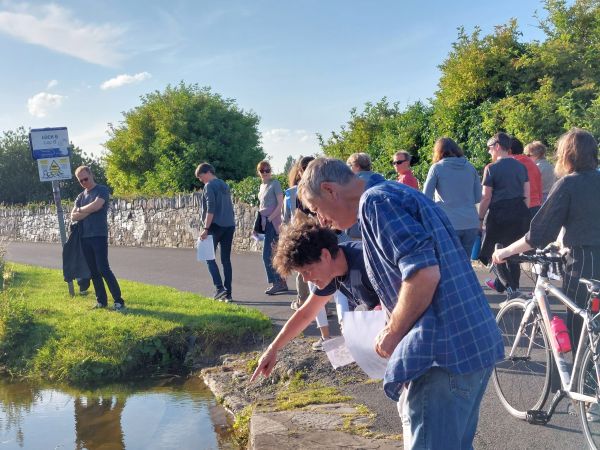 Phizzfest Event: Sold Out! Biodiversity Walk – Royal Canal’s Urban Ecosystem